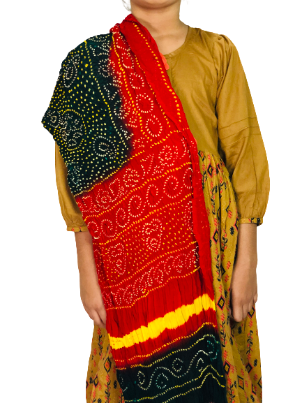 Stylish Chunri Chiffon Dupatta – Multicolor Traditional Design Customizable Colors